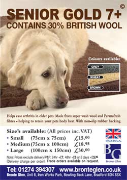 advert 2