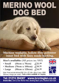 advert 3