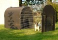Eco Dog Kennels - Made from recycled plastic in England