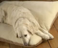 Merino Wool Dog Bed