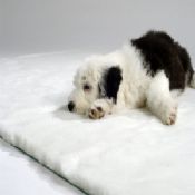 Traditional Bed - White Vet Bedding